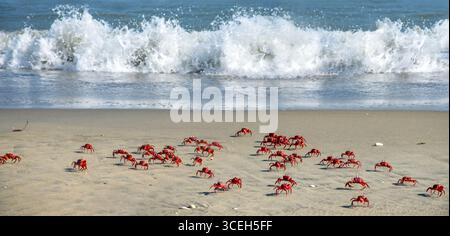 Der zweitlängste Cox`s Bazaar Sea Beach der Welt, Bangladesch Stockfoto